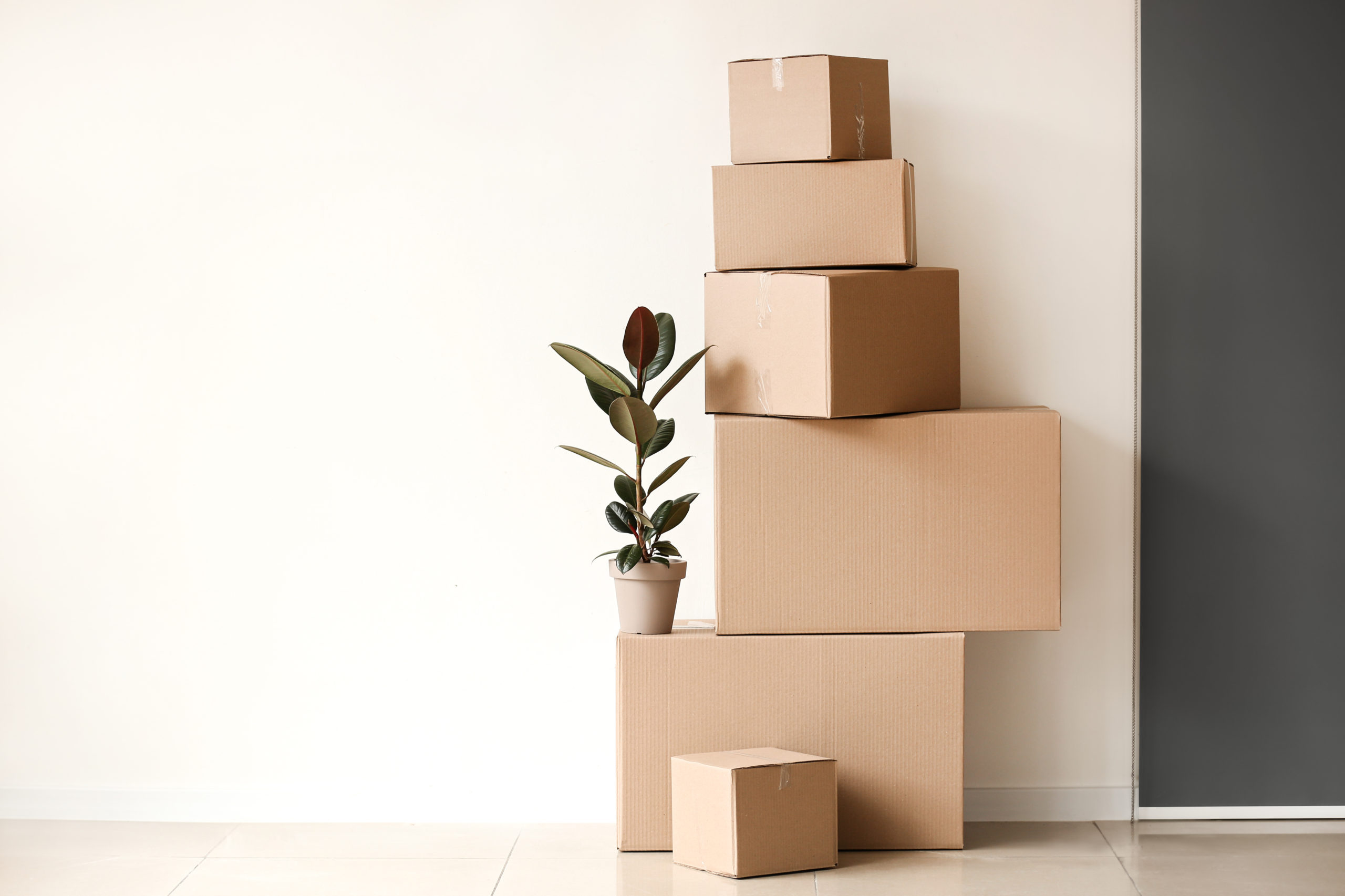 The Credential Gap: Why Consumers Fall for Moving Scams